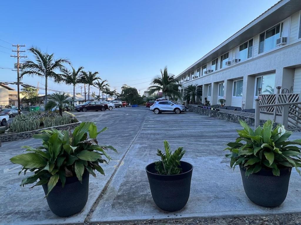 Unit 19 Maui Ohana Modern Studio Wailuku Экстерьер фото