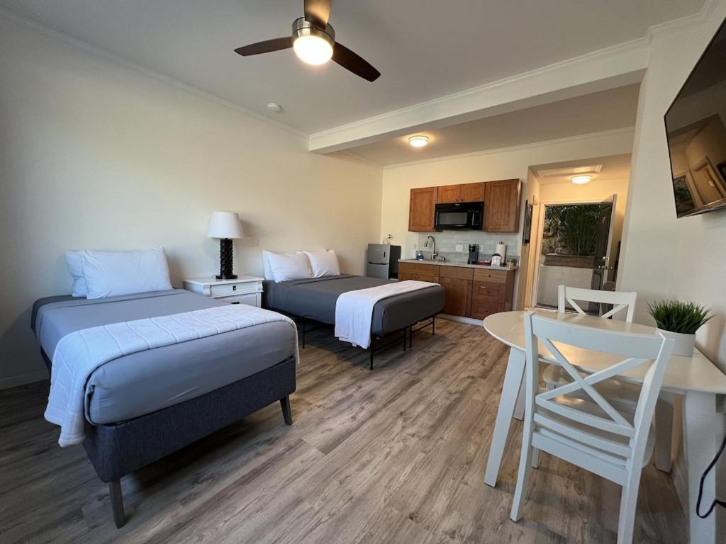 Unit 19 Maui Ohana Modern Studio Wailuku Экстерьер фото