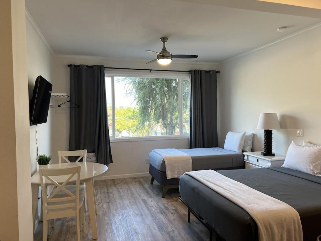 Unit 19 Maui Ohana Modern Studio Wailuku Экстерьер фото